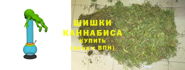 хмурый Белокуриха