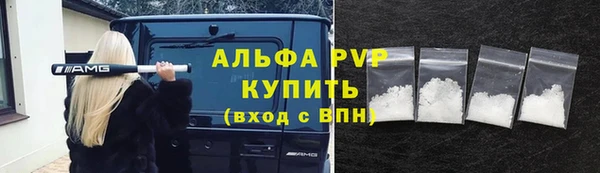 хмурый Белокуриха