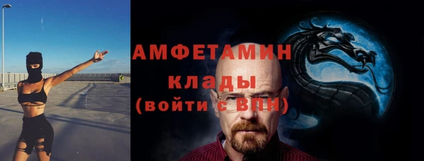 хмурый Белокуриха