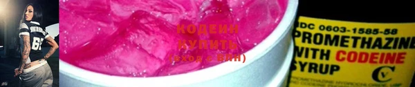 хмурый Белокуриха