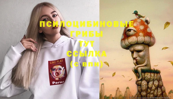 apvp Белоозёрский