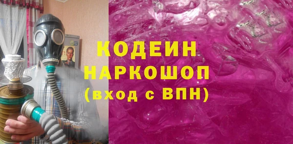 хмурый Белокуриха